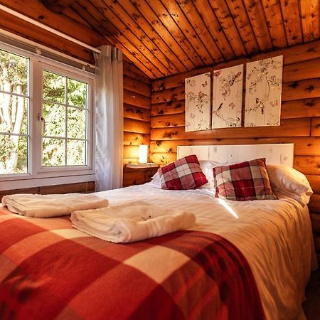 Welsh Retreat 2 Bedroom Log Cabin - Seren Property Trawsfynydd Exterior foto